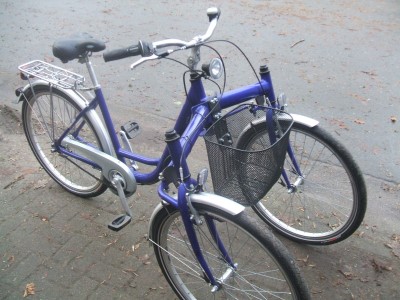 Dreirad Fahrrad Trike Therapiefahrrad Trisalu Pegasus 26 Zoll Luebeck