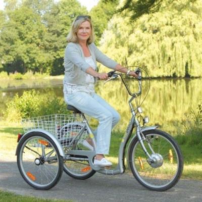 Elektro Dreirad fuer Erwachsene Seniorenrad 24 Senioren Fahrrad mit Korb Rheine