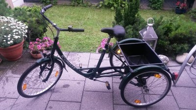 Fahrrad Dreirad Behindertenrad Frankenthal