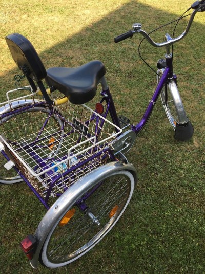Senioren Dreirad Therapie Fahrrad  Ihrlerstein