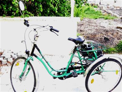 Spezialrad Dreirad fuer Erwachsene mit Benzinmotor Marl